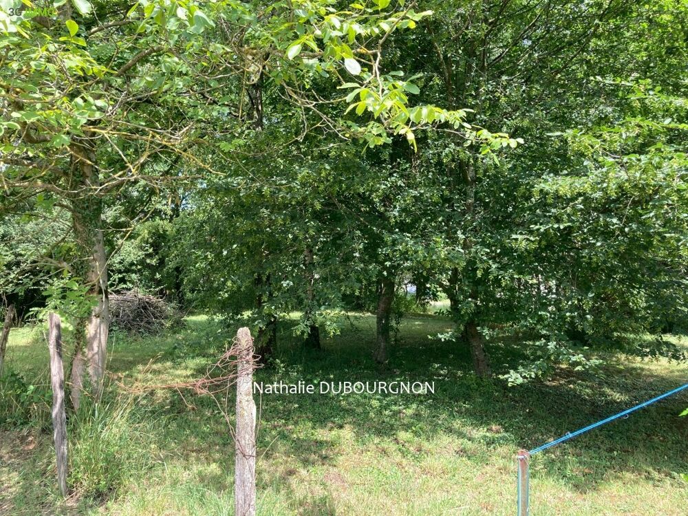 Vente Terrain Terrain constructible Bâgé-dommartin