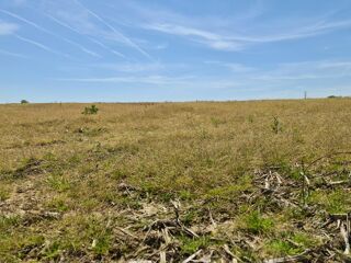  Terrain à vendre 595 m²