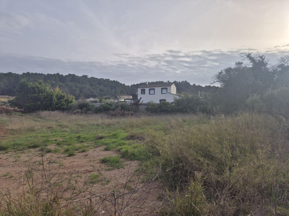 Vente Terrain Terrain constructible Clermont-l'hérault