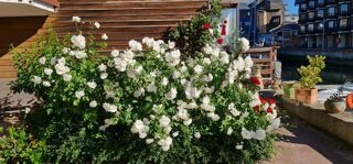  Appartement  vendre 2 pices 46 m