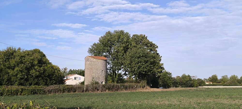 Vente Maison Maison avec dépendance Saint-hippolyte