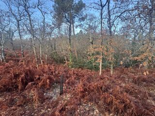  Terrain � vendre 40400 m�