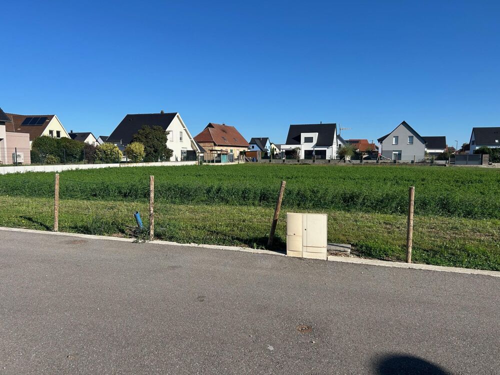 Vente Terrain Terrain constructible Biltzheim