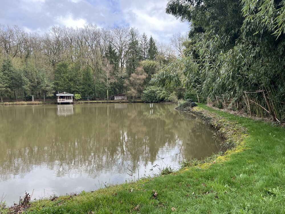 Vente Terrain Terrain de loisirs Saint-maurice-des-lions