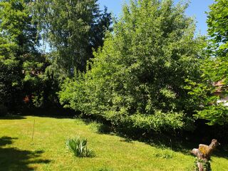  Maison � vendre 9 pi�ces 293 m�