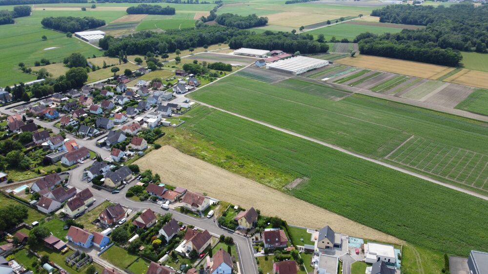 Vente Terrain Terrain Bindernheim