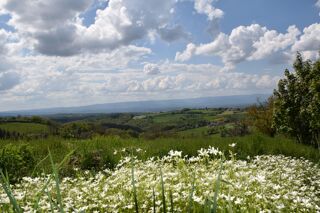  Terrain � vendre 516 m�