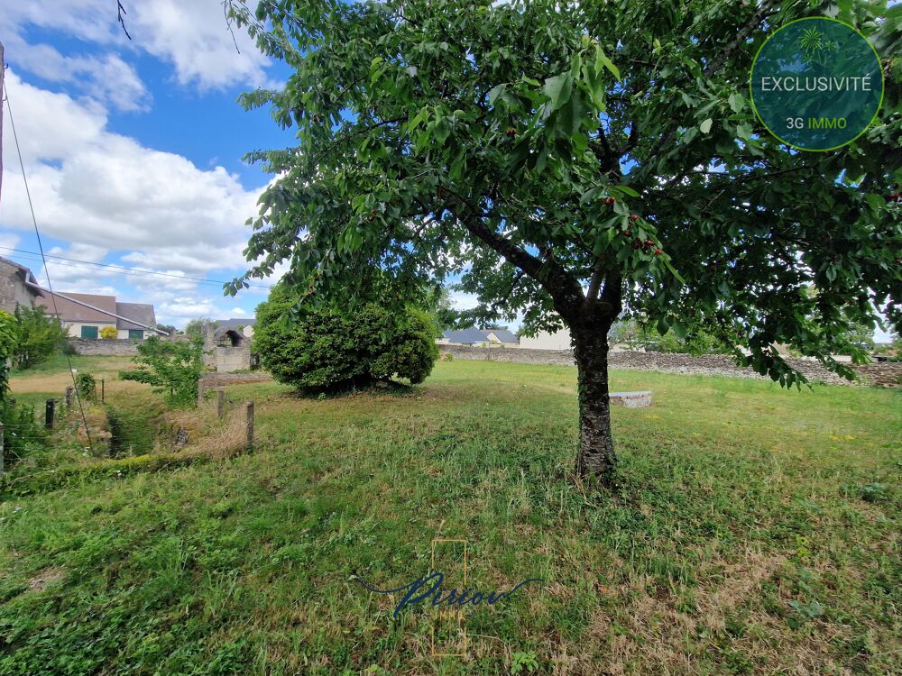 Vente Terrain Terrain constructible Doué-en-anjou