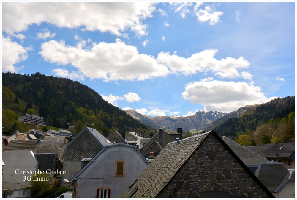 Vente Immeuble Immeuble 20 pièces Mont-dore