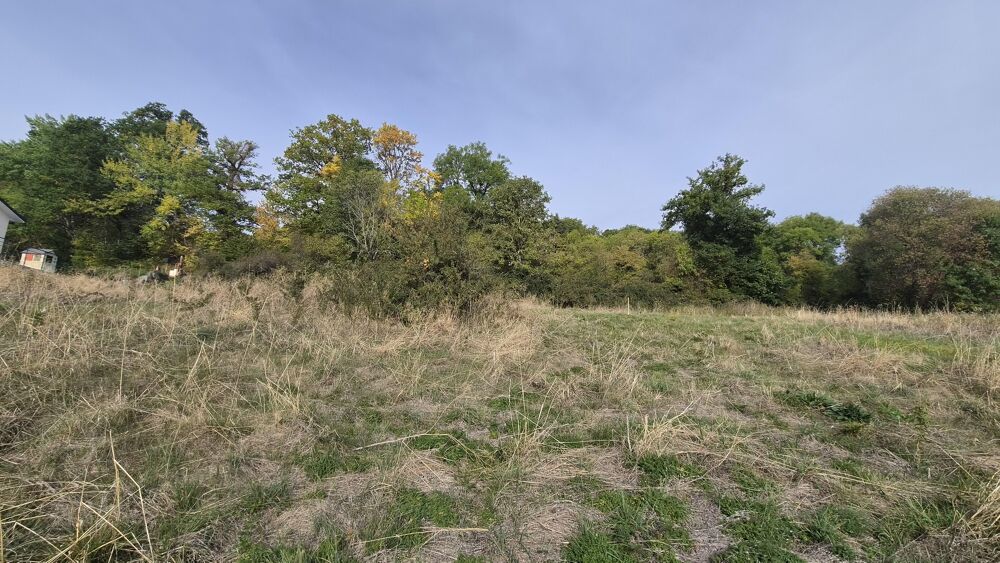 Vente Terrain Terrain constructible Saint-bonnet-près-orcival