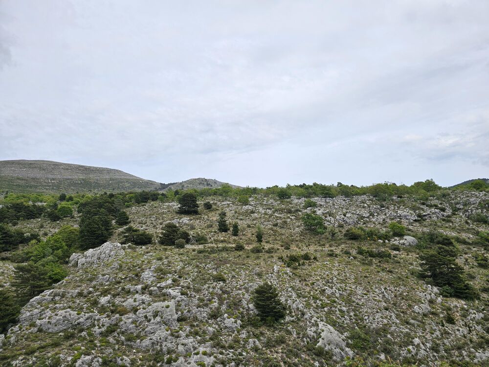 Vente Terrain Terrain Saint-vallier-de-thiey