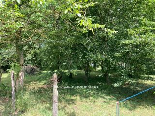  Terrain  vendre  Bg-dommartin