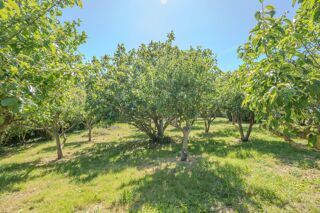  Terrain � vendre 902 m�