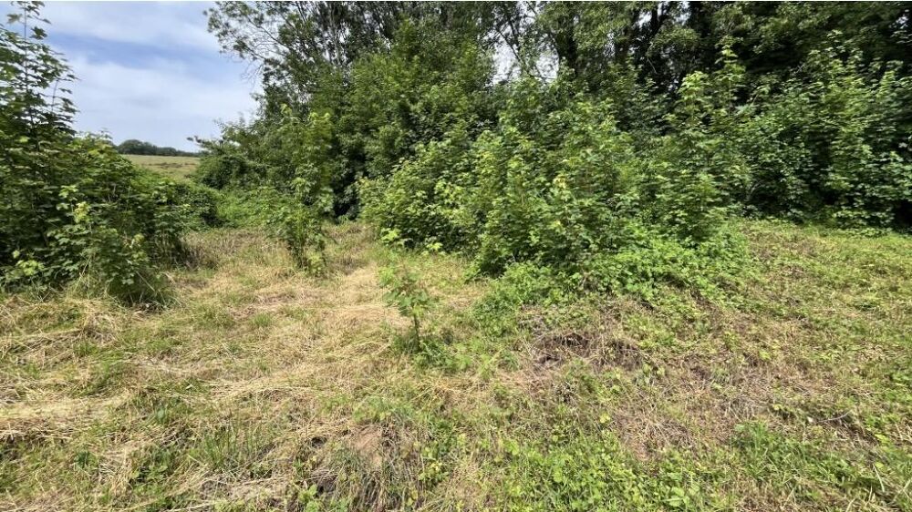 Vente Terrain Terrain constructible Mercy-le-bas