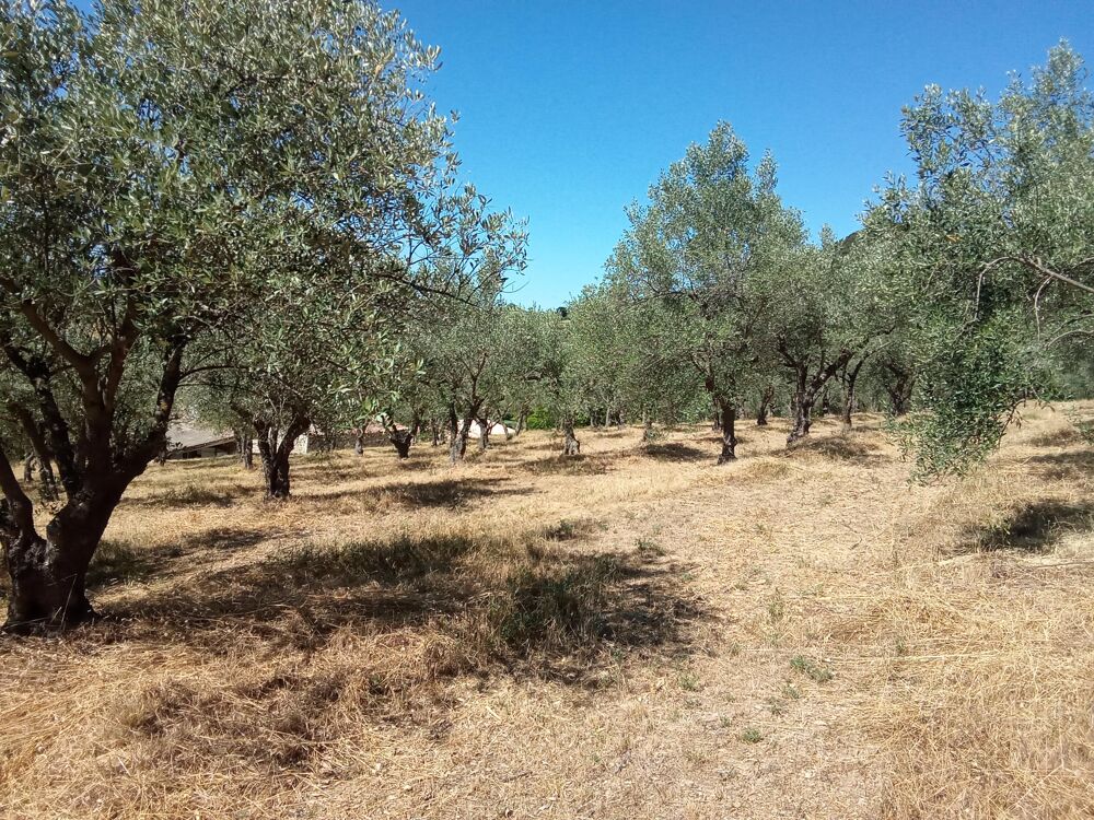 Vente Maison Bergerie 4 pièces Manosque