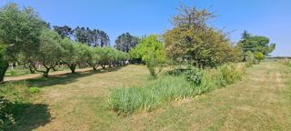  Maison  vendre 9 pices 286 m