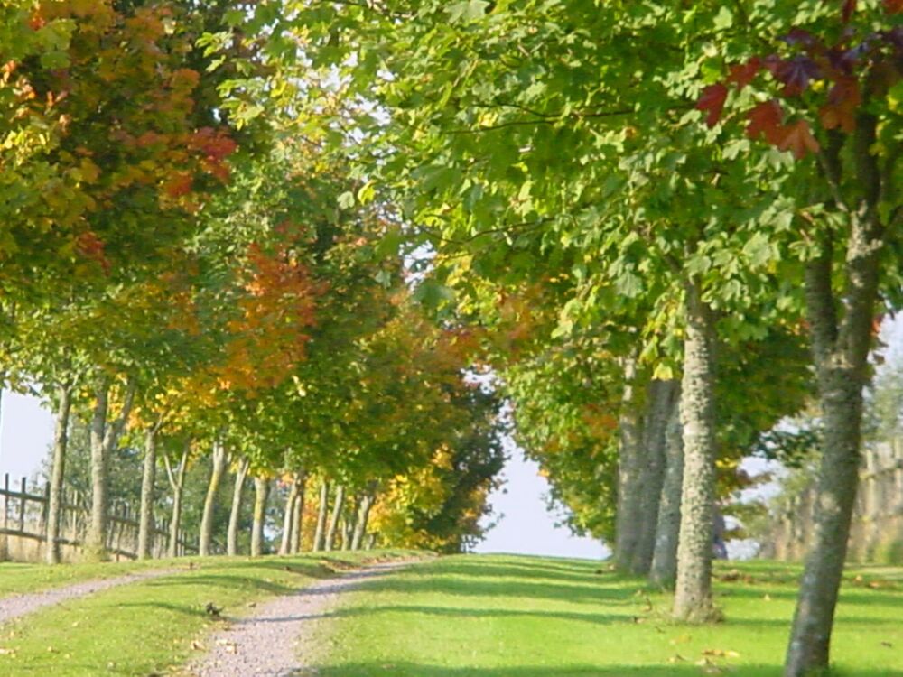 Propriété 6 pièces