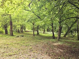  Maison � vendre 9 pi�ces 230 m�