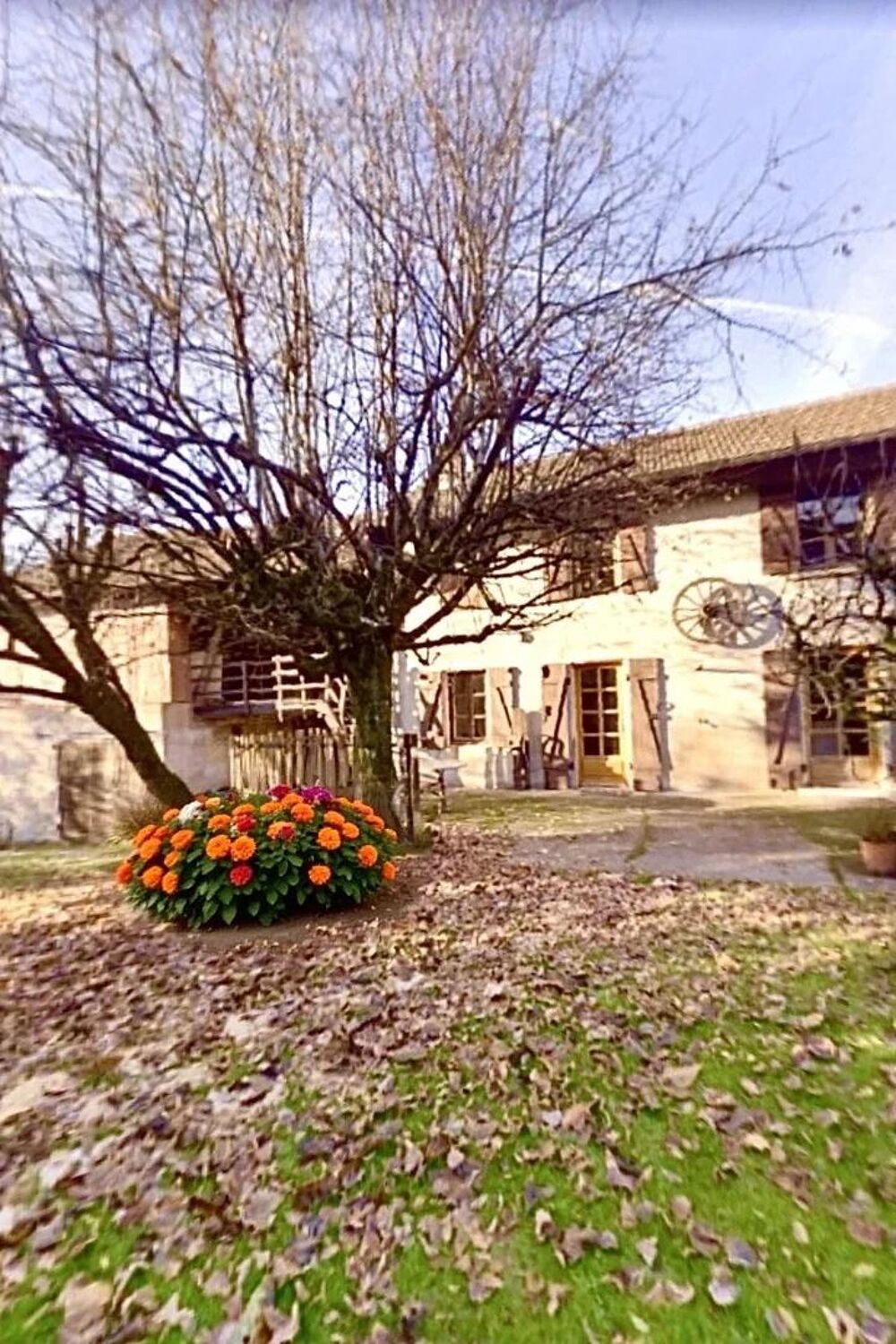 Ferme