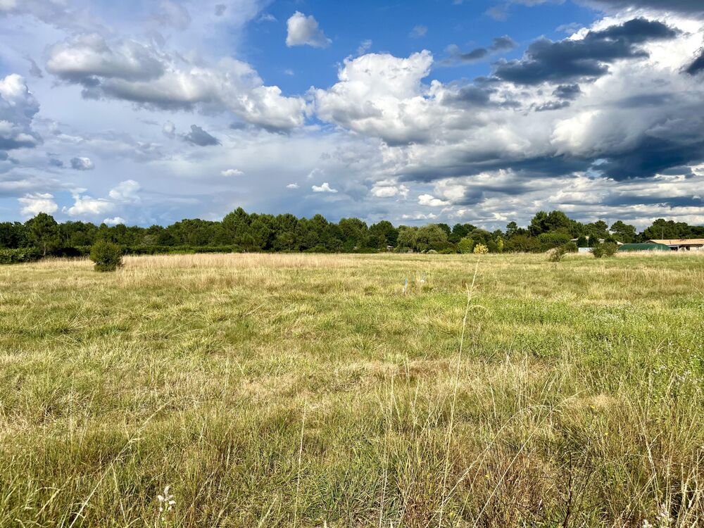 Vente Terrain Terrain constructible Pompéjac