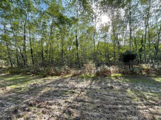  Terrain � vendre 34718 m�