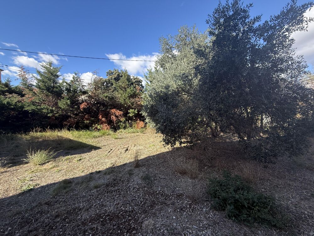 Vente Terrain Terrain constructible Maraussan