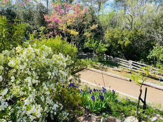  Maison � vendre 8 pi�ces 195 m�