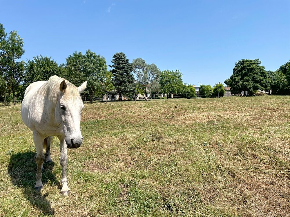 � vendre  Maison La Rochelle (17000)