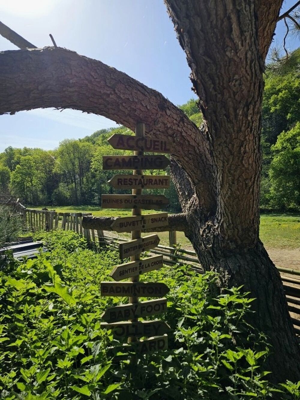 à vendre  Propriété/château Le Dourn (81340)