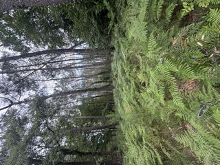  Terrain � vendre 141093 m�