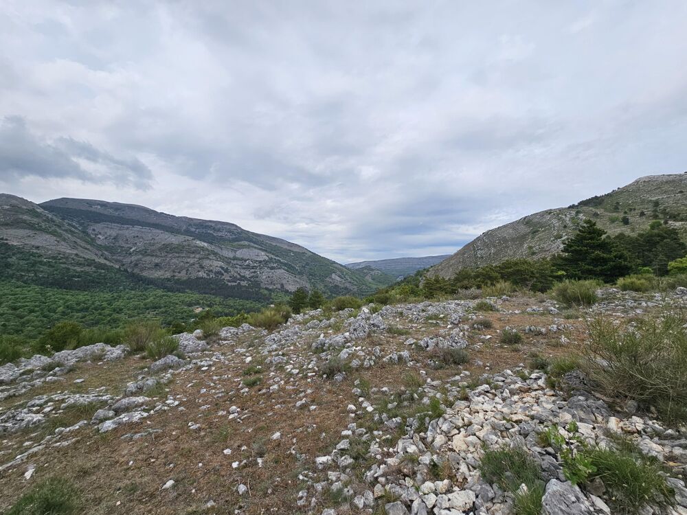 Vente Terrain Terrain Saint-vallier-de-thiey