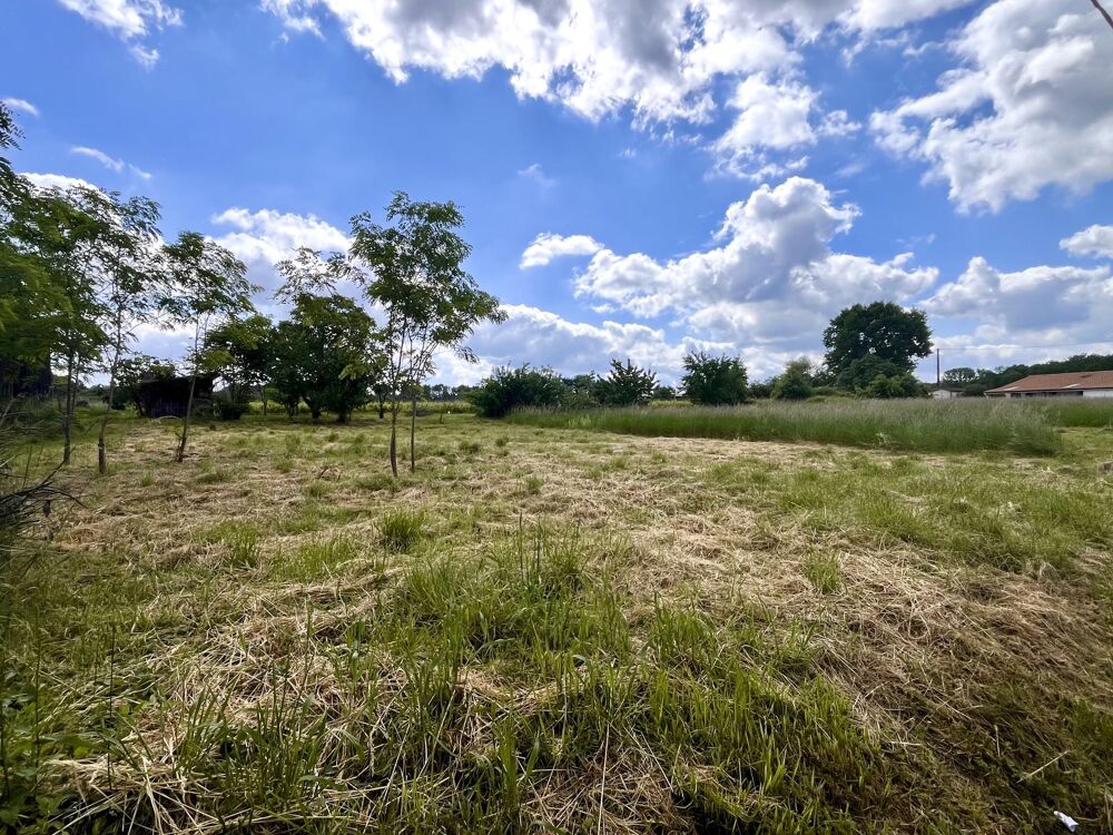 Vente Terrain Terrain constructible Langon