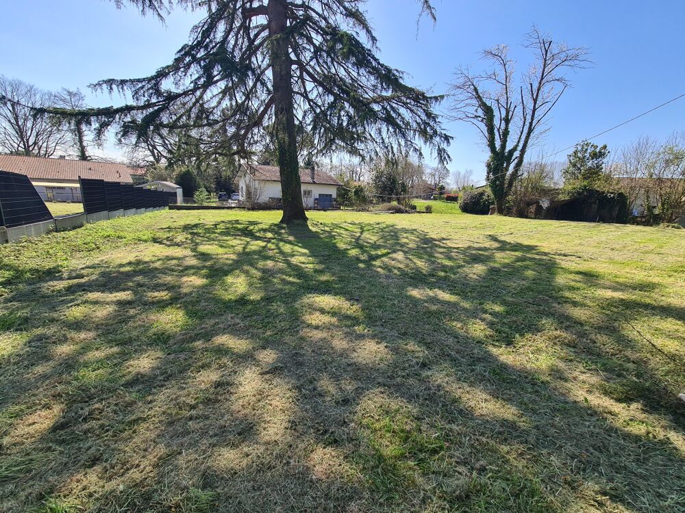 Vente Terrain Terrain constructible Saint-martin-de-hinx
