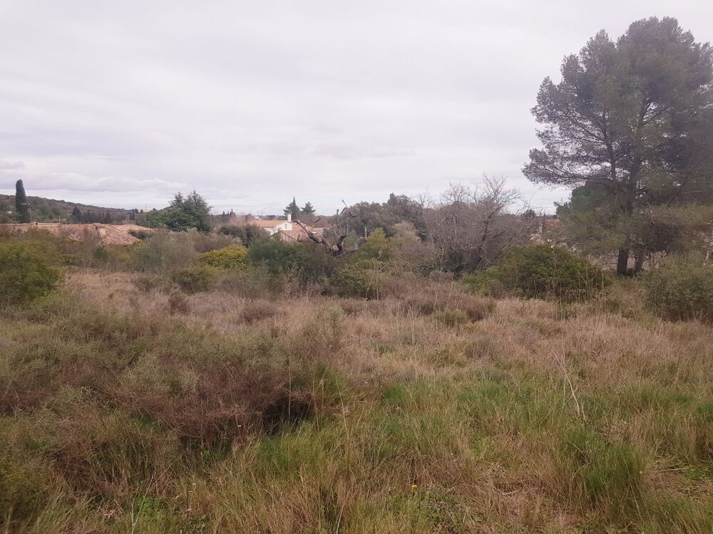 Vente Terrain Terrain constructible Pignan