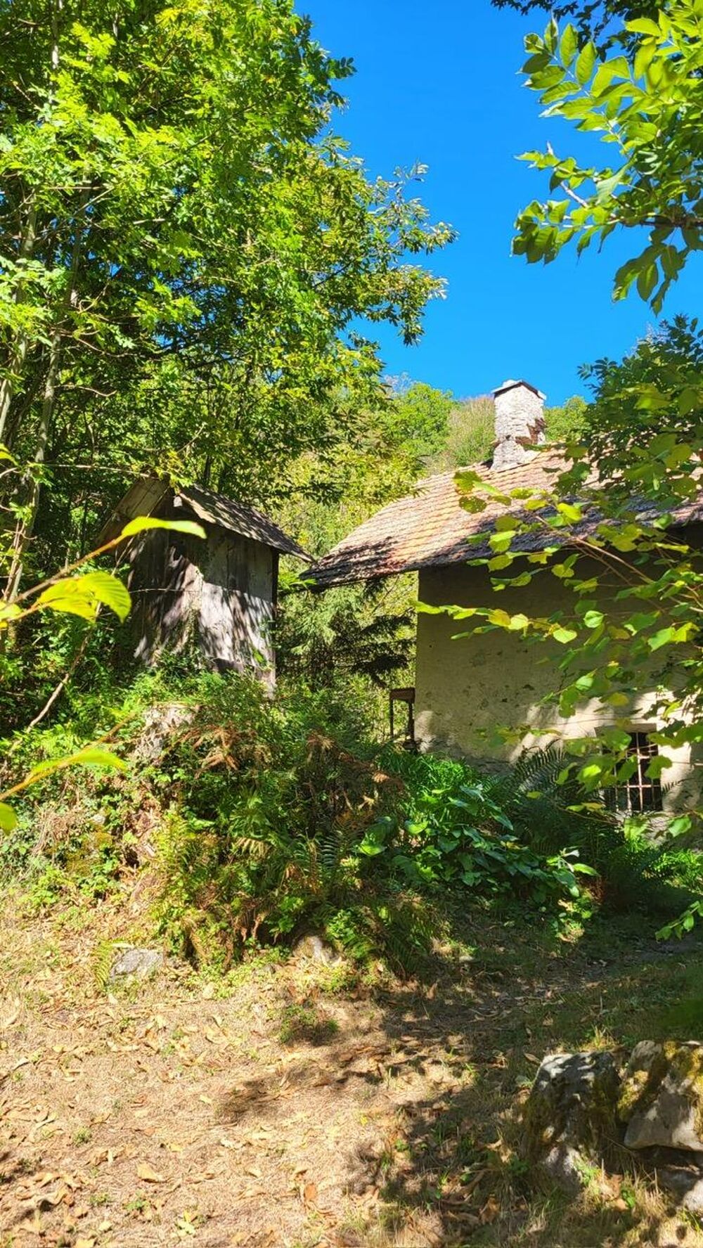 Vente Terrain Terrain Queige