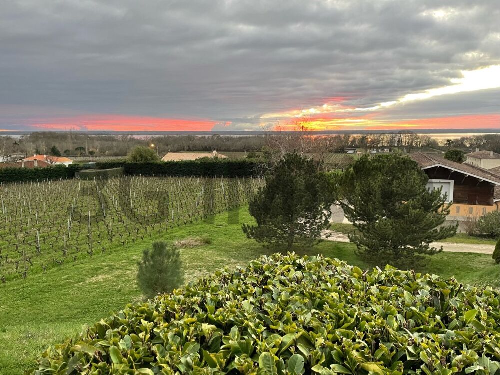  vendre  Proprit/chteau Blaye (33390)