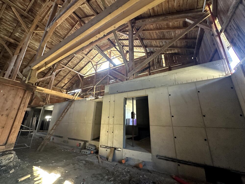 � vendre  Propri�t�/ch�teau Praz-sur-Arly (74120)