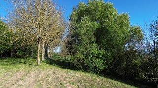  Maison � vendre 6 pi�ces 175 m�