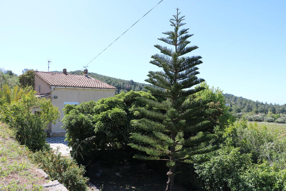 Vente Maison Maison 4 pièces Saint-cyr-sur-mer