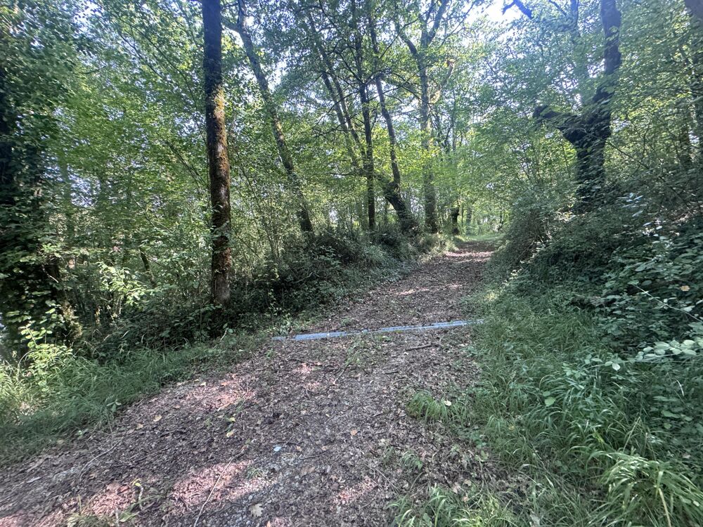 Vente Terrain Forêt Bérenx