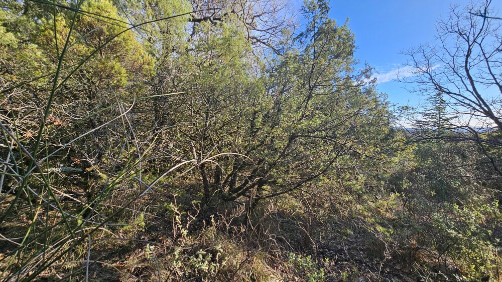 Vente Terrain Terrain Saint-vallier-de-thiey