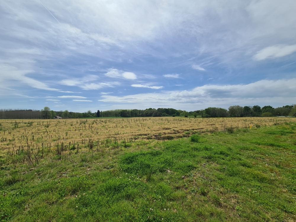 Vente Terrain Terrain constructible Sainte-marie-de-gosse