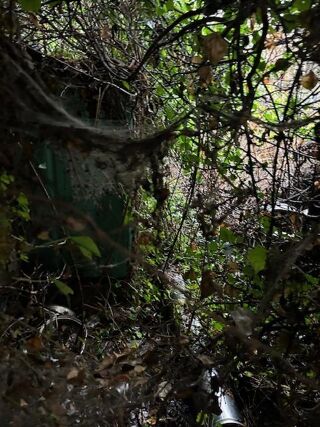  Maison � vendre 1 pi�ce 30 m�