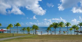  Appartement � vendre 3 pi�ces 36 m�