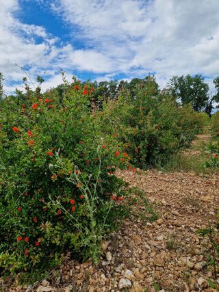  Terrain � vendre 5084 m�