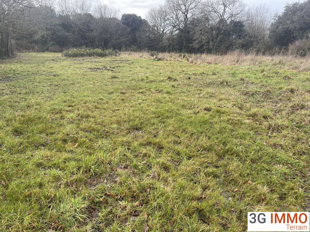 Vente Terrain Terrain de loisirs Talmont-saint-hilaire