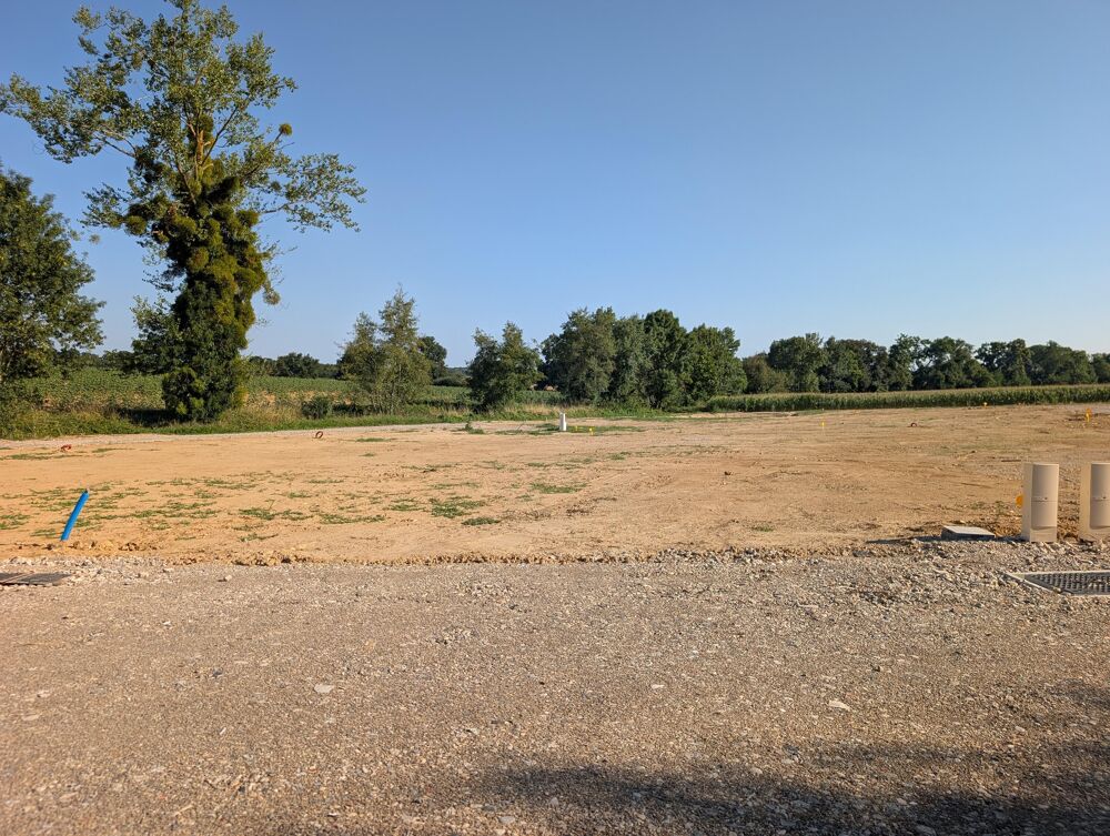 Vente Terrain Terrain Savigneux