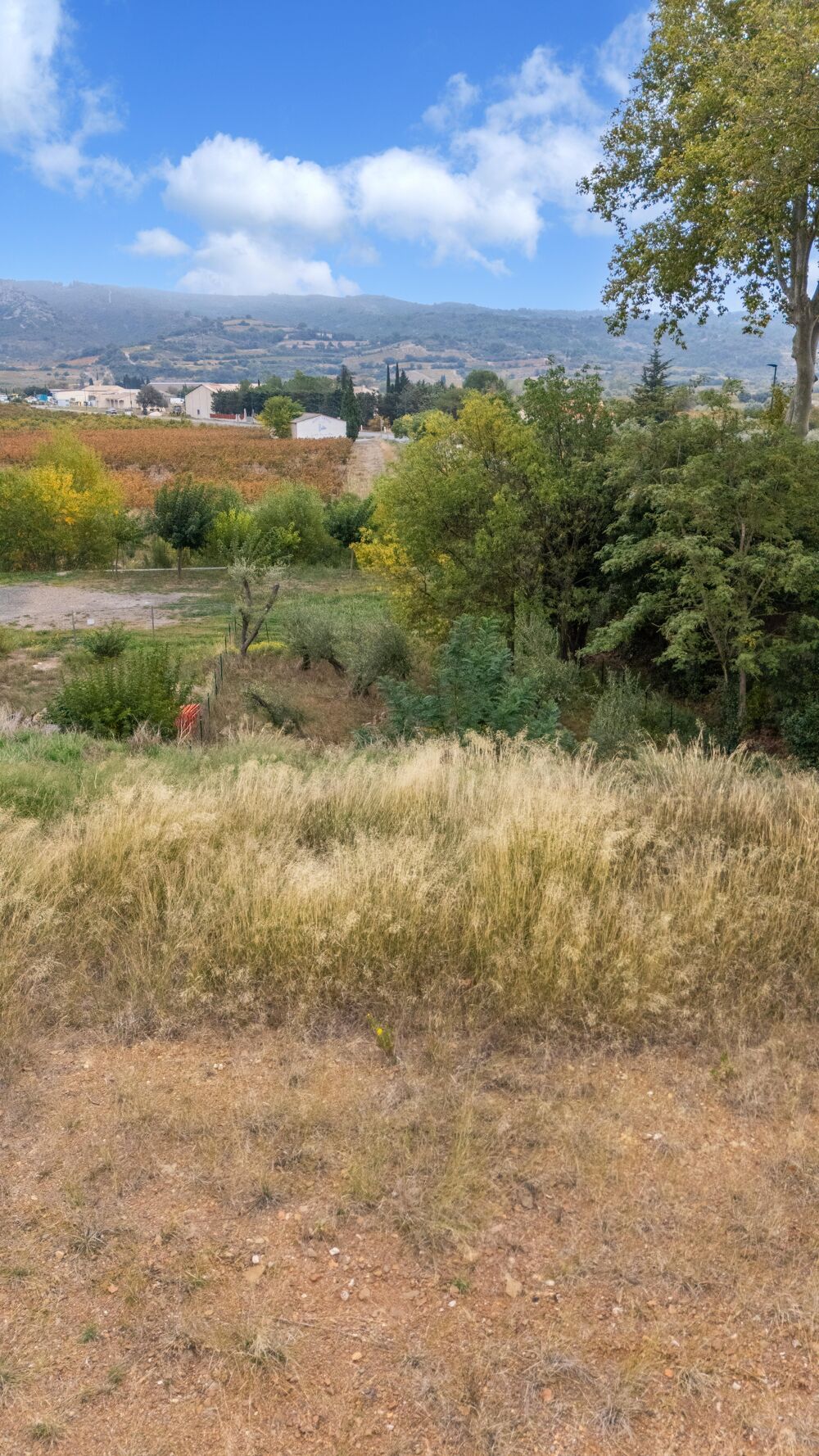 Vente Terrain Terrain constructible Tuchan