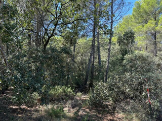  Terrain  vendre 20618 m Salernes