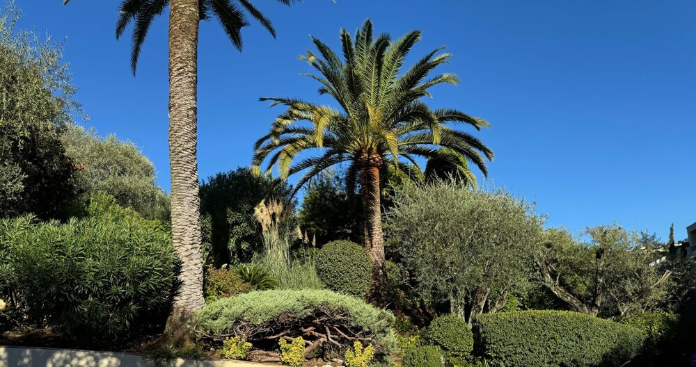 à vendre  Appartement Cannes (06400)